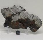 Meteoriet Aletai. IJzer meteoriet - 334 g