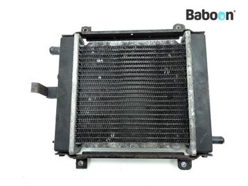 Radiateur Kymco Xciting 300 i R 2009-2010 (T72011), Verzenden