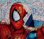 David Law - Crypto Spiderman XIV, Antiek en Kunst
