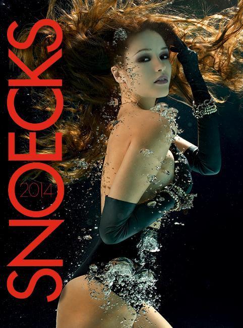 Snoecks 2014 9789077885277, Boeken, Stripverhalen, Gelezen, Verzenden