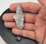 Verbazingwekkende maanmeteoor Gadamis 004 uit Libië - 6.2 g