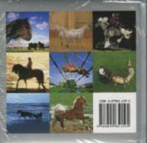 Paarden/chevaux 9783899851595, Livres, Livres Autre, Envoi