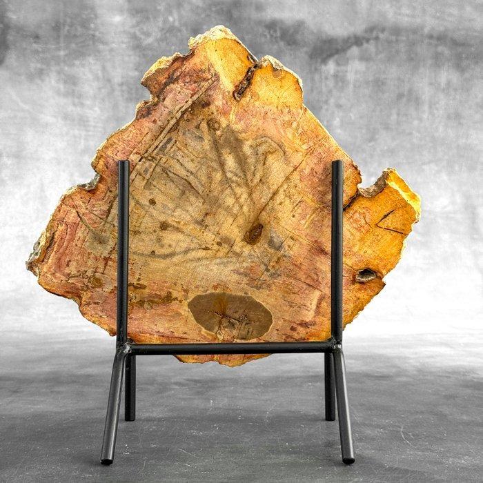 Wonderlijk sneetje versteend hout op een op maat gemaakte, Antiquités & Art, Art | Objets design