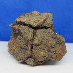 -Geweldige scheuren- XL CHONDRITE van ENSTATITE!!! Komend, Collections