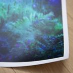 Viet Ha Tran - Colors of the rain VI