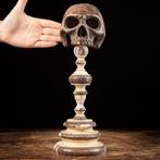 Sculpture, Homo Sapiens - 340 mm - Memento Mori - Crâne en, Verzamelen, Nieuw