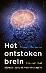 Het ontstoken brein 9789044638851 Edward Bullmore, Verzenden, Edward Bullmore