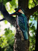 Decoratief ornament - Europa - KLEURRIJKE IJSVOGEL