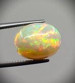 Multicolore Opale - 7.45 ct - Antwerp Laboratory for