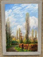 Johan Miedema (1870-1952) - Herfst in sterrenbos, Antiek en Kunst, Kunst | Schilderijen | Klassiek