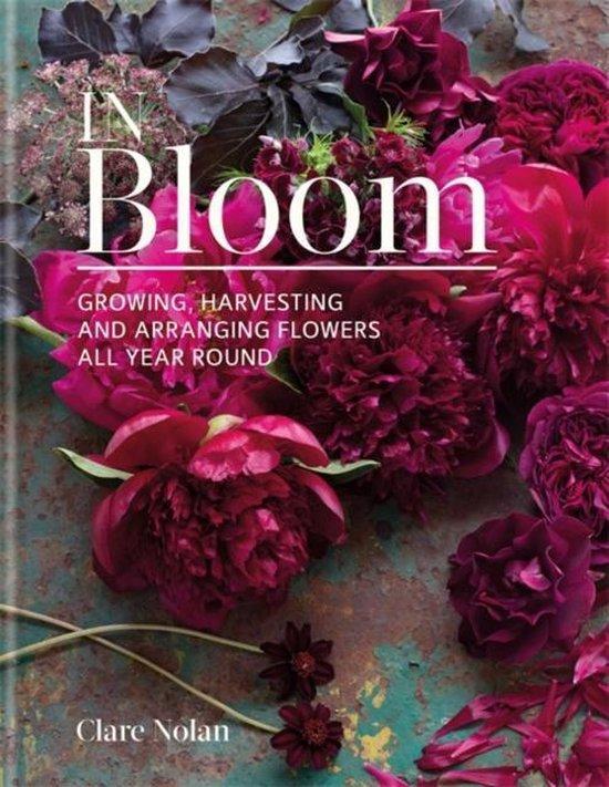 In Bloom 9780857833051 Clare Nolan, Boeken, Taal | Engels, Zo goed als nieuw, Verzenden