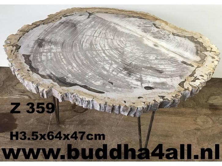 Versteend hout salontafel miljoenen jaar oud! Zeer exclusief, Huis en Inrichting, Tafels | Salontafels, Nieuw, Overige materialen