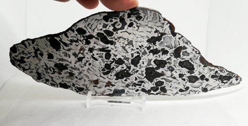 Prachtige volledige Seymchan-plak. 150g Steenijzer meteoriet, Verzamelen, Mineralen en Fossielen