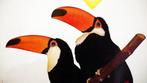 Paul Funken - Nationale ZOO Antwerpen Wereldvermaard - Jaren, Antiek en Kunst