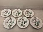 Villeroy & Boch - Bord (6) - Botanica - Porselein, Antiek en Kunst