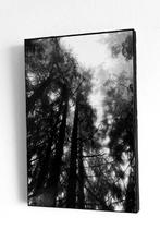 Rouzbeh Tahmassian - Lost - No reserve price, Antiek en Kunst