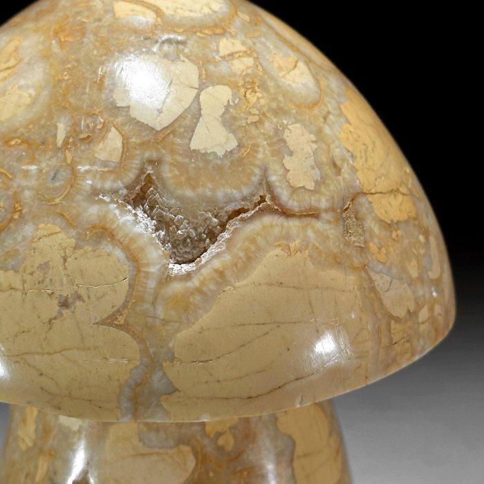 GEEN RESERVEPRIJS - Handgesneden Maligano Jasper paddenstoel, Antiquités & Art, Art | Objets design