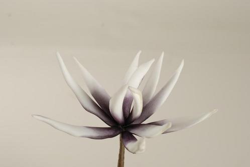 Cactus flower dark purple 16cm. 10 stuks foam, Huis en Inrichting, Woonaccessoires | Kunstplanten en Kunstbloemen, Nieuw