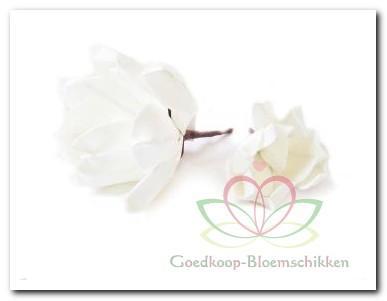 Magnolia foambloem Kort White Wit DOOS 12 stuks Magnolia, Huis en Inrichting, Woonaccessoires | Kunstplanten en Kunstbloemen, Nieuw