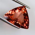 Toermalijn - 9.03 ct - International Gemological Institute, Nieuw