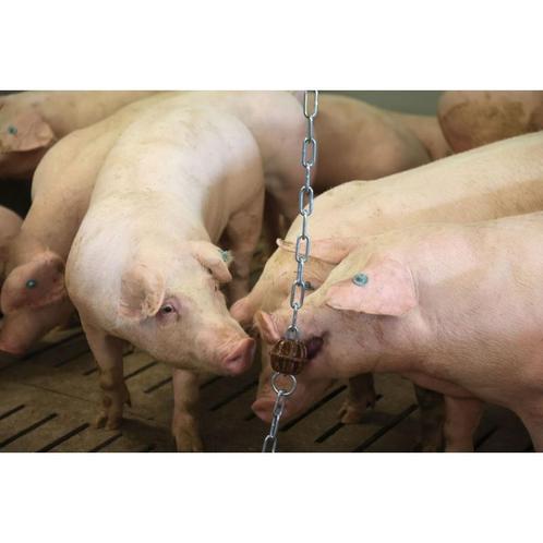 Ketting alleen 4mm,75cm met ring voor biggenbijtring 22605 -, Zakelijke goederen, Landbouw | Veevoer
