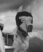 Tan Tolga Demirci - The Whore of Babylon