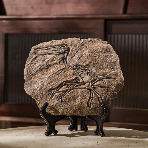 Squelette fossile du Quetzalcoatlus XXL (réplique) -, Verzamelen, Dierenverzamelingen