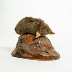 Taupe Support de corps entier pour taxidermie - Talpa