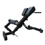 Technogym lower back bench| Pure strength | Back extension |, Sports & Fitness, Verzenden