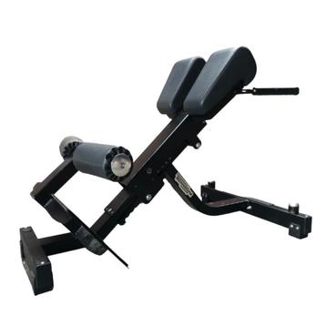 Technogym lower back bench| Pure strength | Back extension |