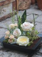 Oasis  terrabrick™ floral media 11,43x11,45x5 cm 8 pcs voor