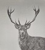 Wandtapijt van alpaca-jacquard «Cervo maestoso» Montagna -, Antiek en Kunst