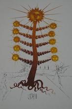 Salvador Dali (1904-1989) - Arbre soleil