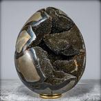 Zeer decoratieve septarien Ei met calcietkristallen- 4179.22, Verzamelen, Mineralen en Fossielen