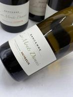 2023 Roger & Christophe Moreux Les Monts Damnés - Sancerre -, Nieuw