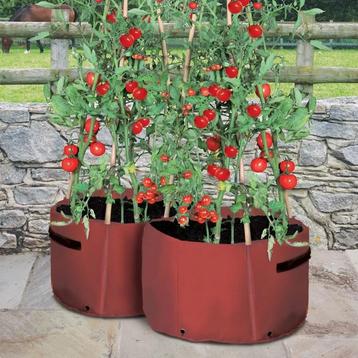 NIEUW - Kweekzak tomaten 40 L, Verzenden