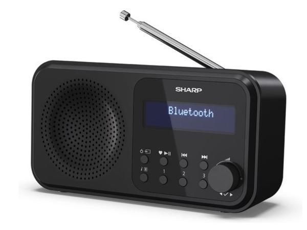 Veiling - Sharp DR-P420 Portable DAB - FM radio met BT, Audio, Tv en Foto, Radio's