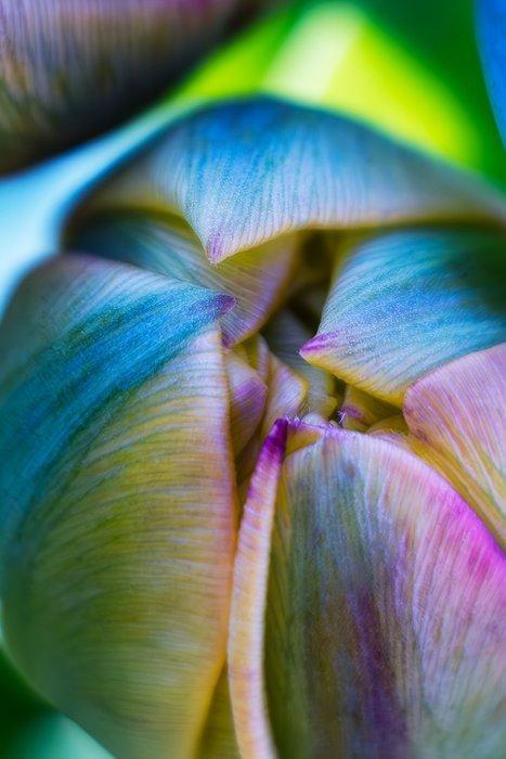 Inna Etuvgi - The Splash of Spring, Antiek en Kunst, Kunst | Designobjecten