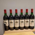 1989 Chateau Terre Noire - Lalande-de-Pomerol - 6 Flessen, Nieuw