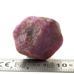 Robijn 107 karaat ruwe onbewerkte robijnkristal- 21.43 g -, Verzamelen