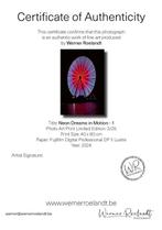 Werner Roelandt - Neon Dreams in Motion - 1 - No Reserve