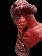 sculptuur, Busto di Platone, detto Dioniso - 61 cm - Was, Antiek en Kunst