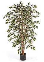 Kunstplant Ficus Nitida Mixed 150 cm, Verzenden