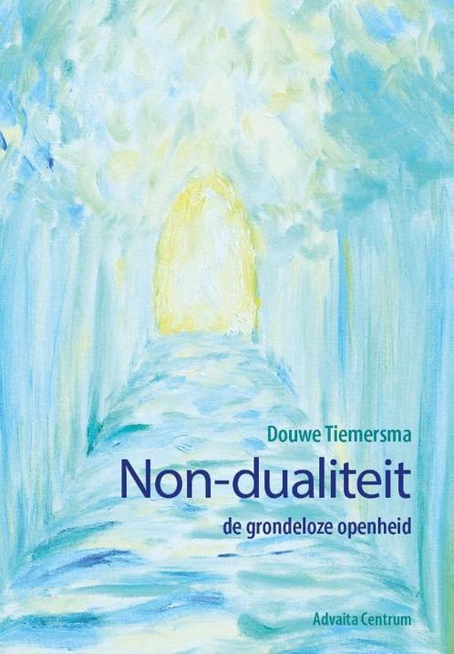Non-dualiteit 9789077194126 Douwe Tiemersma, Boeken, Filosofie, Zo goed als nieuw, Verzenden