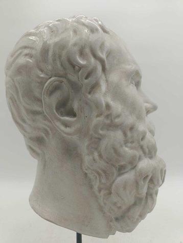 sculptuur, Testa del filosofo Socrate - 39 cm - marmerstof beschikbaar voor biedingen