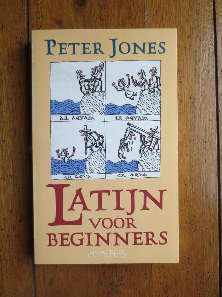 Latijn voor beginners 9789053336601 P. Jones, Boeken, Overige Boeken, Gelezen, Verzenden