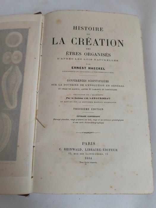 Ernst Haeckel - Histoire de la création des êtres organisés, Antiek en Kunst, Antiek | Boeken en Manuscripten