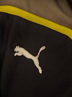 Bristol City - Championnat dAngleterre de Football - 2007 -, Nieuw