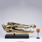 sculptuur, Saltwater Crocodile Skull fashioned in bronze, on