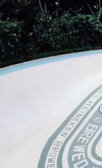 Steve Schneer Heineken pool ( 1979 ) Skateboard History, Nieuw